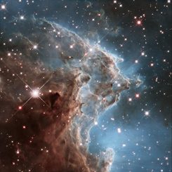 Anlässlich seines 24. Jahrestags im Weltraum hat das Hubble Space Telescope diese Aufnahme von einem Teil des Affenkopfnebels NGC 2174 gemacht, einer Sternentstehungsregion im Sternbild Orion. (NASA, ESA, and the Hubble Heritage Team (STScI / AURA))