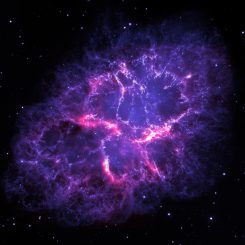 Der Krebsnebel, basierend auf Daten der Weltraumteleskope Herschel und Hubble. (ESA / Herschel / PACS / MESS Key Programme Supernova Remnant Team; NASA, ESA and Allison Loll / Jeff Hester (Arizona State University))
