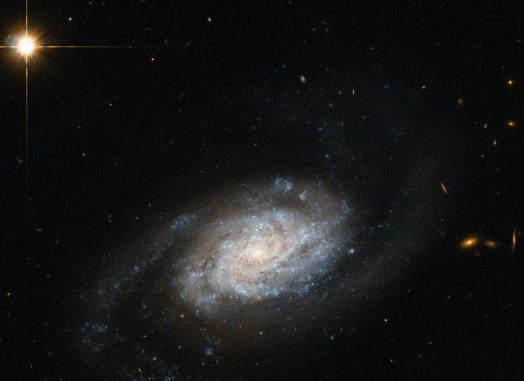 Die Balkenspiralgalaxie NGC 3455, aufgenommen vom Weltraumteleskop Hubble. (ESA / Hubble & NASA; Acknowledgement: Nick Rose)