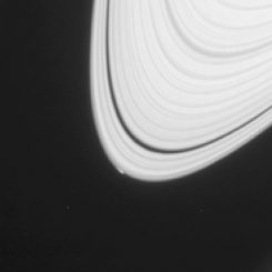 Dieses Bild stammt von der Raumsonde Cassini und zeigt einen rund 1.200 Kilometer langen Bogen am Rand des A-Rings, der heller als seine Umgebung ist. Möglicherweise entsteht dort gerade ein winziger Mond. (NASA / JPL-Caltech / Space Science Institute)