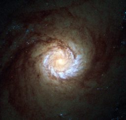 Hubble-Aufnahme der Spiralgalaxie Messier 61. Sie ist als Starburst-Galaxie klassifiziert und zeigt enorm hohe Sternentstehungsraten. (ESA / Hubble & NASA; Acknowledgement: Det58)