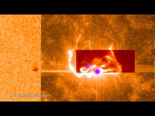 Diese kombinierte Aufnahme zeigt die X-Klasse-Eruption vom 29. März 2014, wie sie von den verschiedenen Observatorien beobachtet wurde. Daten des SDO sind links zu sehen und zeigen die Position der Eruption auf der Sonne. Das dunklere, orangefarbene Quadrat basiert auf IRIS-Daten. Das rote Rechteck stammt von Daten des Teleskops am Sacramento Peak. Die violetten Flecken stellen RHESSI-Daten dar. (NASA / SDO / IRIS / RHESSI) Diese kombinierte Aufnahme zeigt die X-Klasse-Eruption vom 29. März 2014, wie sie von den verschiedenen Observatorien beobachtet wurde. Daten des SDO sind links zu sehen und zeigen die Position der Eruption auf der Sonne. Das dunklere, orangefarbene Quadrat basiert auf IRIS-Daten. Das rote Rechteck stammt von Daten des Teleskops am Sacramento Peak. Die violetten Flecken stellen RHESSI-Daten dar. (NASA / SDO / IRIS / RHESSI)