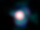 Der Rote Überriese Beteigeuze im Sternbild Orion, aufgenommen vom Very Large Telescope der Europäischen Südsternwarte in Chile. Bei Thorne-Zytkow-Objekten befindet sich im Kern eines solchen Sterns ein zuvor verschluckter Neutronenstern. (ESO and P. Kervella)