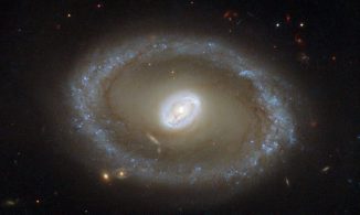 Die Seyfert-Galaxie NGC 3081, aufgenommen vom Weltraumteleskop Hubble. (ESA / Hubble & NASA; Acknowledgement: R. Buta (University of Alabama))