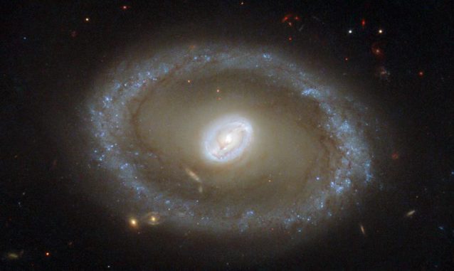 Die Seyfert-Galaxie NGC 3081, aufgenommen vom Weltraumteleskop Hubble. (ESA / Hubble & NASA; Acknowledgement: R. Buta (University of Alabama))