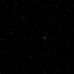Der Komet 67P/Churyumov-Gerasimenko (im roten Kreis) am 4. Juni 2014, aufgenommen vom Onboard Scientific Imaging System der Raumsonde Rosetta. (ESA / Rosetta / MPS / UPD / LAM / IAA / SSO / INTA / UPM / DASP / IDA)