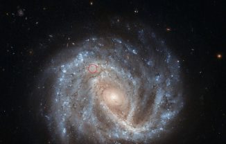 Die Spiralgalaxie NGC 2441 im Sternbild Camelopardalis. Die Supernova SN 1995E ist mit einem roten Kreis markiert. (ESA / Hubble & NASA; Acknowledgement: Nick Rose)