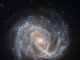 Die Spiralgalaxie NGC 2441 im Sternbild Camelopardalis. Die Supernova SN 1995E ist mit einem roten Kreis markiert. (ESA / Hubble & NASA; Acknowledgement: Nick Rose)