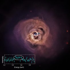 Dieses Bild zeigt eine neue Ansicht des Perseus-Galaxienhaufens, einem der Galaxienhaufen, die in der neuen Studie untersucht wurden. (NASA / CXC / SAO / E.Bulbul, et al.)