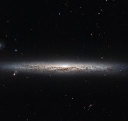 Die Spiralgalaxie NGC 3501, aufgenommen vom Weltraumteleskop Hubble. (ESA / Hubble & NASA; Acknowledgement: Nick Rose)