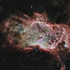 Dieses Kompositbild zeigt den Flammennebel im Sternbild Orion, basierend auf Daten der Weltraumteleskope Chandra und Spitzer. (X-ray: NASA / CXC / PSU / K.Getman, E.Feigelson, M.Kuhn and the MYStIX team; Infrared: NASA / JPL-Caltech)