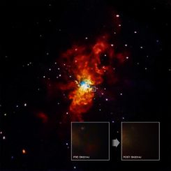Die Galaxie M82 mit dem Ort der Supernova SN 2014J, aufgenommen vom Weltraumteleskop Chandra. (NASA / CXC / SAO / R.Margutti et al)