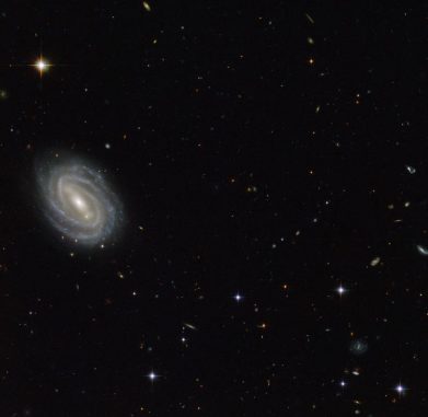Die Spiralgalaxie PGC 54493, aufgenommen vom Weltraumteleskop Hubble. (ESA / Hubble & NASA; Acknowledgement: Judy Schmidt (geckzilla.com)) Die Spiralgalaxie PGC 54493, aufgenommen vom Weltraumteleskop Hubble. (ESA / Hubble & NASA; Acknowledgement: Judy Schmidt (geckzilla.com))