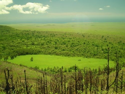 Landschaft auf den Galapagos-Inseln. (Pensoft / CC BY 4.0)