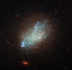 Hubble-Aufnahme der irregulären Galaxie IC 559 im Sternbild Löwe. (ESA / Hubble, NASA, D. Calzetti (UMass) and the LEGUS Team)