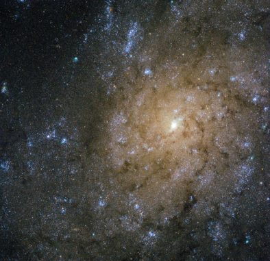 Hubble-Aufnahme der Spiralgalaxie NGC 7793 im Sternbild Bildhauer. (ESA / Hubble & NASA; Acknowledgement: D. Calzetti (University of Massachusetts) and the LEGUS Team)