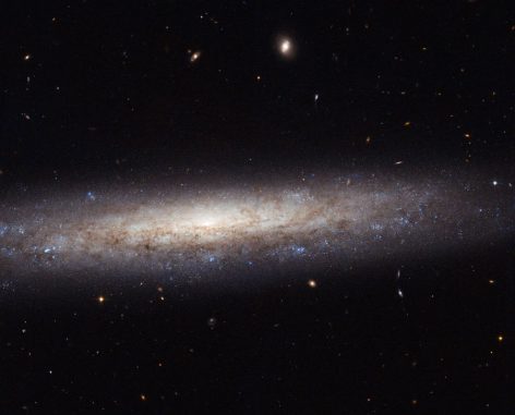 NGC 4206 ist eine Spiralgalaxie im Sternbild Jungfrau. Von unserem Beobachtungspunkt aus blicken wir auf die Kante der Galaxie. (ESA / Hubble & NASA; Acknowledgement: Nick Rose)
