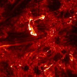 Diese IRIS-Aufnahme zeigt Emissionen von heißem Plasma in der Übergangsregion zwischen der Sonnenoberfläche und der äußeren Korona. Die helle, C-förmige Struktur oberhalb der Bildmitte stellt eine Aufhellung in den Ausgangspunkten heißer koronaler Bögen dar, verursacht durch hochenergetische Elektronen. Die Elektronen werden von Nanoflares beschleunigt. Die Auflösung liegt bei 120 Kilometern pro Pixel. (NASA / IRIS)