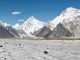 Diese Aufnahme zeigt den K2, den zweithöchsten Berg der Erde (Mitte), mit dem Baltoro-Gletscher im Vordergrund. Forscher haben das Klima in der Bergregion untersucht und eine mögliche Erklärung für die Karakorum-Anomalie gefunden. (Image courtesy of Princeton University)