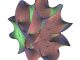 Zweidimensionaler Schnitt durch eine Calabi-Yau-Mannigfaltigkeit. Solche mathematischen Konstrukte kommen bei der Beschreibung der Dimensionen in der Stringtheorie zum Einsatz. (Floriang, Wikipedia, CC BY-SA 3.0)