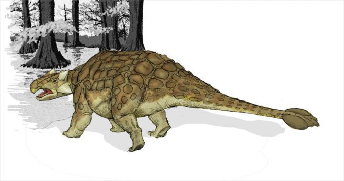 Künstlerische Darstellung des namensgebenden Ankylosaurus. (Mariana Ruiz Villarreal/ Public Domain) Künstlerische Darstellung des namensgebenden Ankylosaurus. (Mariana Ruiz Villarreal/ Public Domain)