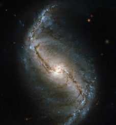 NGC 986 ist eine Balkenspiralgalaxie in etwa 56 Millionen Lichtjahren Entfernung. Sie liegt im Sternbild Chemischer Ofen. (ESA / Hubble & NASA)