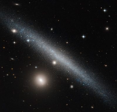 UGC 1281 ist eine Zwerggalaxie im Sternbild Dreieck, hier aufgenommen vom Weltraumteleskop Hubble. (ESA / Hubble & NASA; Acknowledgement: Luca Limatola)