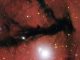 Diese Aufnahme des Very Large Telescope (VLT) zeigt eine Dunkelwolke in der Sternentstehungsregion Gum 15. (ESO)