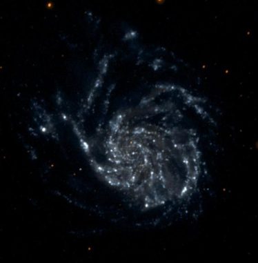 GALEX-Aufnahme von Messier 101, der sogenannten Feuerrad-Galaxie. (NASA / JPL / Caltech) GALEX-Aufnahme von Messier 101, der sogenannten Feuerrad-Galaxie. (NASA / JPL / Caltech)
