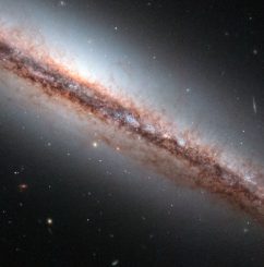 Die Spiralgalaxie NGC 4217, aufgenommen vom Weltraumteleskop Hubble. (ESA / Hubble & NASA; Acknowledgement: R. Schoofs)