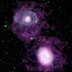 Die Galaxien NGC 4625 (oben) und NGC 4618 (unten) auf einem Kompositbild aus Daten des GALEX, des Digitized Sky Survey und des Westerbork Synthesis Radio Telescope. (NASA / JPL-Caltech / Carnegie Observatories / WSRT)