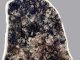 Sektion eines 1,8 Milliarden Jahre alten Steins. Die Fossilien (dunkle Gebiete) sind im Grunde genommen identisch mit 500 Millionen Jahre älteren Fossilien und mit heutigen Mikroorganismen. (UCLA Center for the Study of Evolution and the Origin of Life)