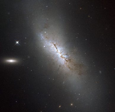 NGC 4424, aufgenommen vom Weltraumteleskop Hubble. (ESA / Hubble & NASA; Acknowledgement: Gilles Chapdelaine)