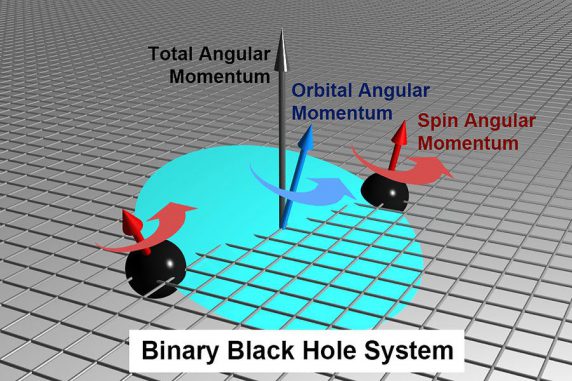 In einem System aus zwei einander umkreisenden Schwarzen Löchern verändern sich die Richtungen der Eigendrehimpulse (rote Pfeile) und die Richtung des Bahndrehimpulses (blauer Pfeil) mit der Zeit. Dieser Effekt wird als Präzession bezeichnet. (Graphic by Midori Kitagawa)
