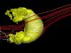 Die gelbe Struktur ist die Heliopause, die Grenze zwischen der Heliosphäre und dem lokalen interstellaren Medium. Die Sonne befindet sich im Zentrum dieser Blase, aber ist zu klein, um hier dargestellt zu werden. Die grauen Linien sind die solaren Magnetfeldlinien und die roten Linien sind die Feldlinien des interstellaren Magnetfeldes. Die Jets erstrecken sich nach oben und unten und sind nach hinten gekrümmt. (M. Opher)