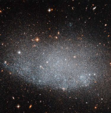 Hubble-Aufnahme der Zwerggalaxie UGC 8201. (ESA / Hubble & NASA)