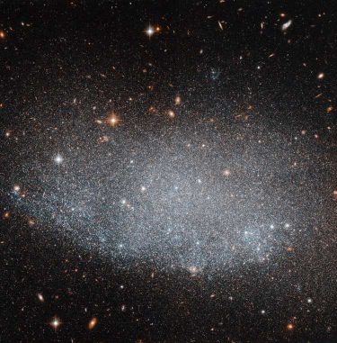 Hubble-Aufnahme der Zwerggalaxie UGC 8201. (ESA / Hubble & NASA) Hubble-Aufnahme der Zwerggalaxie UGC 8201. (ESA / Hubble & NASA)