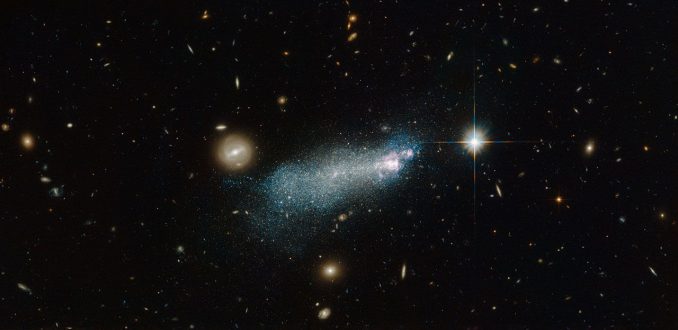 Die blaue, kompakte Zwerggalaxie SBSG 1415+437, aufgenommen vom Weltraumteleskop Hubble. (ESA / Hubble & NASA; Acknowledgement: Alessandra Aloisi (STScI) and Nick Rose) Die blaue, kompakte Zwerggalaxie SBSG 1415+437, aufgenommen vom Weltraumteleskop Hubble. (ESA / Hubble & NASA; Acknowledgement: Alessandra Aloisi (STScI) and Nick Rose)