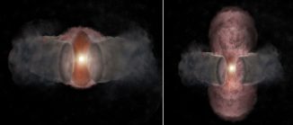 Künstlerische Darstellung der Entwicklung von W75N(B)-VLA 2. Links, im Jahr 1996, expandiert ein heißer Wind des jungen Sterns fast kugelförmig in alle Richtungen. Rechts (2014) erscheint der heiße Wind durch die Wechselwirkung mit dem umgebenden Staubtorus länglich. (Bill Saxton, NRAO / AUI / NSF)