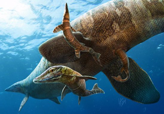 Diese künstlerische Darstellung zeigt eine Gruppe Mosasaurier im Ozean. (Illustration by Julius T. Csotonyi)