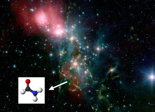 Der Nebel NGC 1333 ist eine der Sternentstehungsregionen, in denen das Molekül Formamid nachgewiesen wurde. (NASA / Spitzer) Der Nebel NGC 1333 ist eine der Sternentstehungsregionen, in denen das Molekül Formamid nachgewiesen wurde. (NASA / Spitzer)
