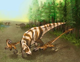 Zwei Dinosaurier der neu identifizierten Art Saurornitholestes sullivani attackieren einen jungen Hadrosaurier der Art Parasaurolophus tubicen (Illustration by Mary P. Williams)