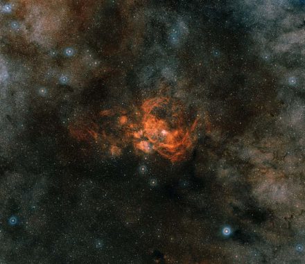 NGC 6357, basierend auf Daten des Digitized Sky Survey 2. (Davide De Martin (ESA / Hubble), the ESA / ESO / NASA Photoshop FITS Liberator & Digitized Sky Survey 2)