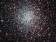 Hubble-Aufnahme des Kugelsternhaufens NGC 1783 in der Großen Magellanschen Wolke. (ESA / Hubble & NASA; Acknowledgement: Judy Schmidt (geckzilla.com))