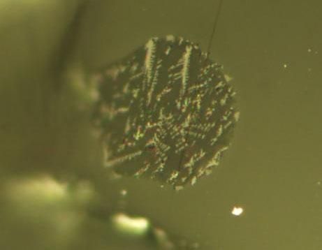 Winzige Stückchen geschmolzenen Magmas wurden in kleinen Olivinkristallen eingeschlossen und bewahrten Hinweise auf flüchtige Gase. (Saal Lab / Brown University)