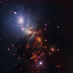 Dieses Bild des Reflexionsnebels NGC 1333 und des darin eingebetteten Sternhaufens basiert auf Röntgendaten (Chandra), Infrarotdaten (Spitzer) und optischen Daten (Digitized Sky Survey, Mayall Telescope). (NASA / CXC / JPL-Caltech / NOAO / DSS)