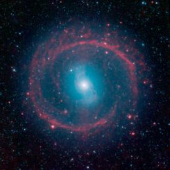 Spitzer-Aufnahme der Balkenspiralgalaxie NGC 1291. (NASA / JPL-Caltech)