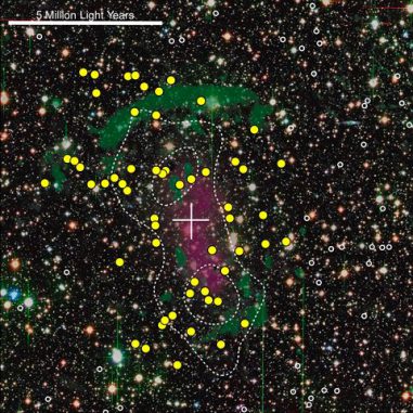 Kompositbild des verschmelzenden Galaxienhaufens CIZA J2242.8+5301, basierend auf Daten des Subaru-Teleskops und des Canada France Hawaii Telescope. Die gelben Kreise markieren Mitgliedsgalaxien, in denen intensive Sternentstehungsprozesse stattfinden. Weiße Kreise kennzeichnen Galaxien außerhalb des Haufens. Grüne Farbtöne stellen Radioemissionen von Schockwellen dar. Violett zeigt heißes Gas, das Röntgenstrahlung emittiert. (Andra Stroe)