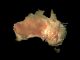 Die Spur der Cosgrove-Vulkankette durch den australischen Kontinent. (Drew Whitehouse, NCI National Facility VizLab)