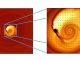 Diese Simulation hilft bei der Erklärung eines seltsamen Lichtsignals, das vermutlich von einem engen Paar verschmelzender Schwarzer Löcher stammt. Das System ist etwa 3,5 Milliarden Lichtjahre entfernt. (Zoltan Haiman, Columbia University)